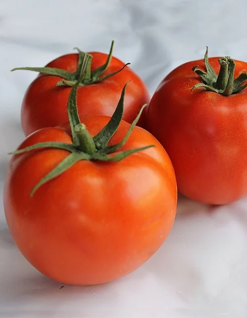 Миниатюра изображения сорта Макс