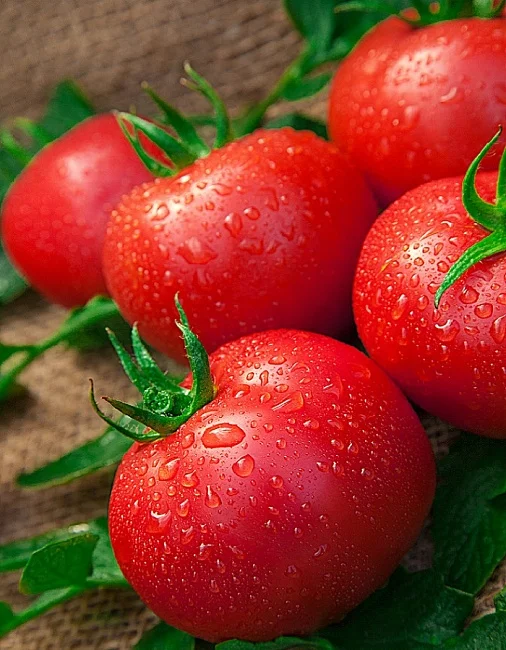 Миниатюра изображения сорта Малиновая сладость 