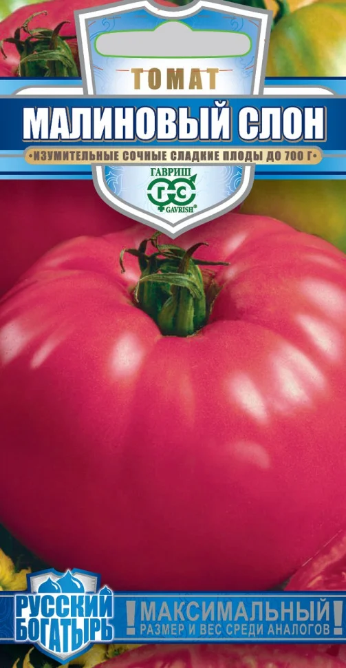 Малиновый слон