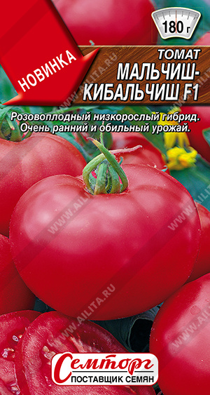 Мальчиш-кибальчиш 