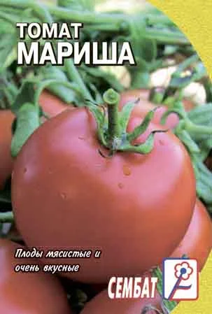 Миниатюра изображения сорта Мариша 