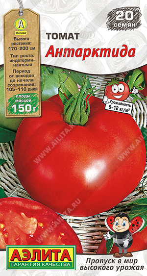 Антарктида