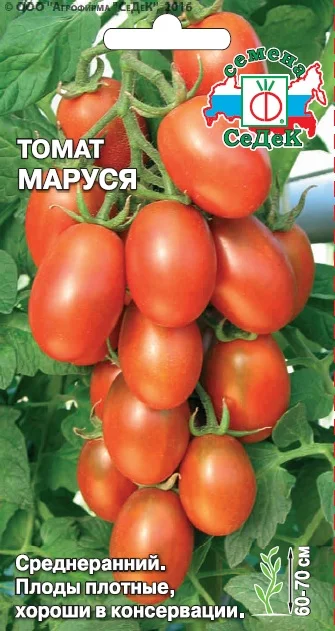 Миниатюра изображения сорта Маруся