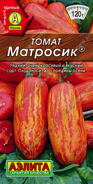 Матросик