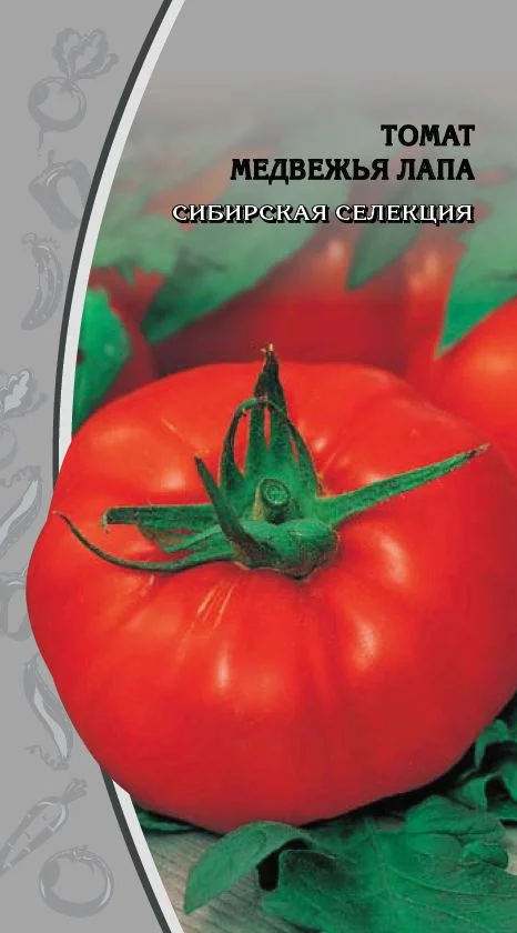 Медвежья лапа 