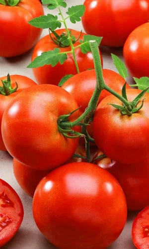 Миниатюра изображения сорта Миллионер 