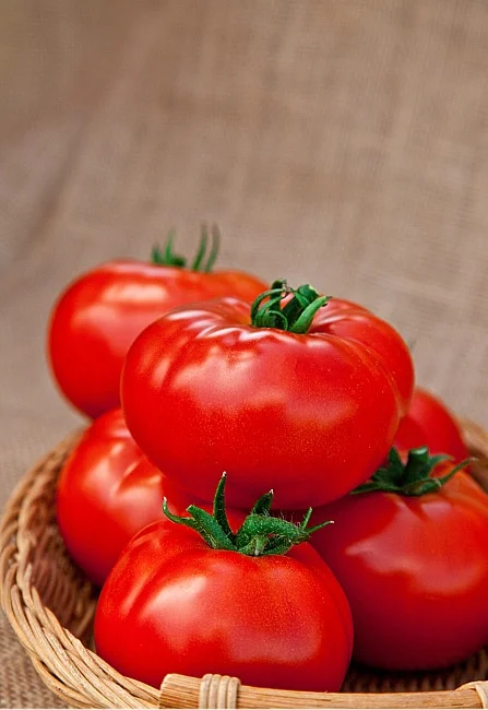 Миниатюра изображения сорта Министр