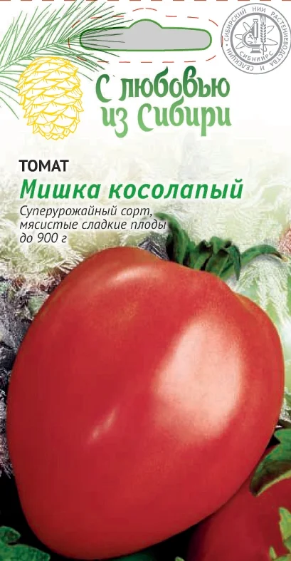 Мишка косолапый