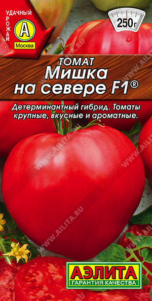 Мишка на севере 