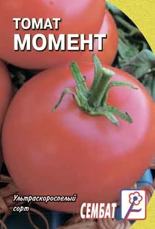 Миниатюра изображения сорта Момент 