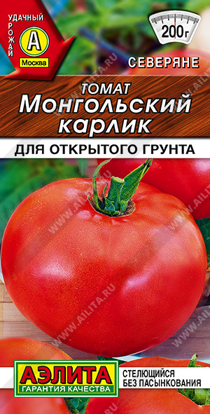 Монгольский карлик