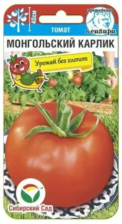 Миниатюра изображения сорта Монгольский карлик