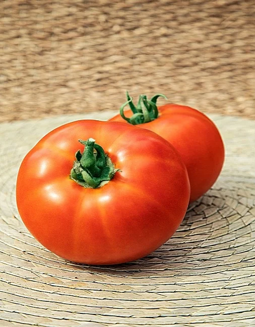 Миниатюра изображения сорта Настена 