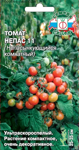 Непас 11