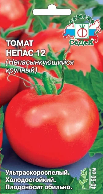 Непас 12