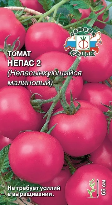 Непас 2
