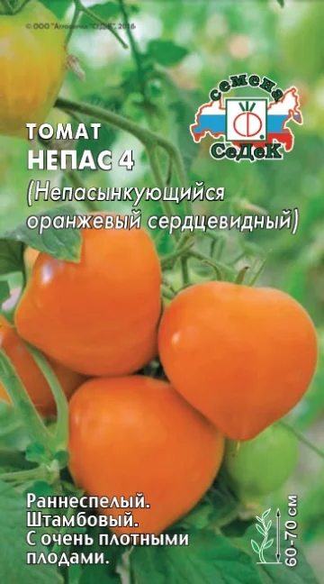 Непас 4