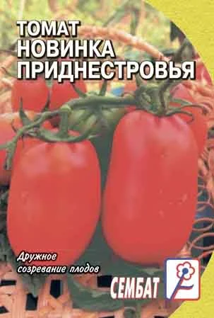Миниатюра изображения сорта Новинка Приднестровья 