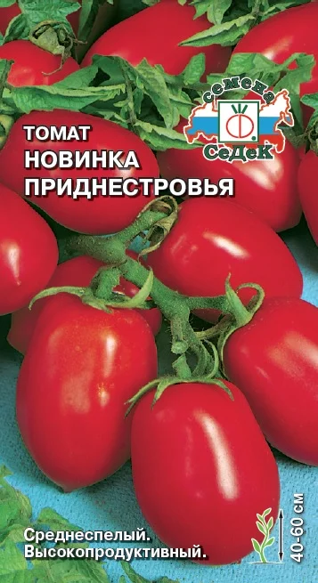 Миниатюра изображения сорта Новинка Приднестровья 