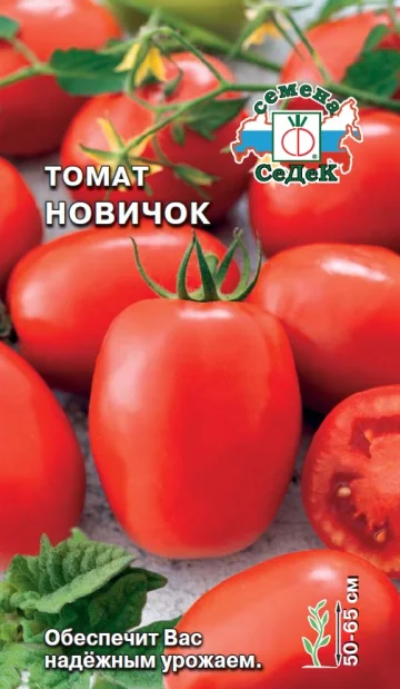 Миниатюра изображения сорта Новичок