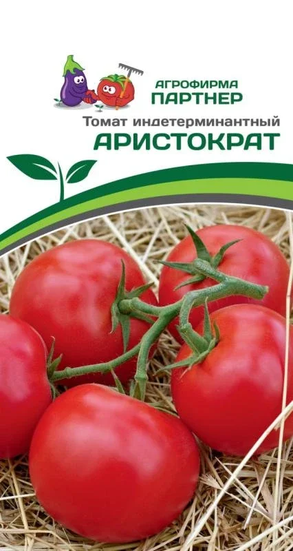 Аристократ