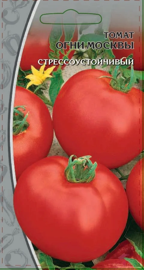 Огни Москвы 