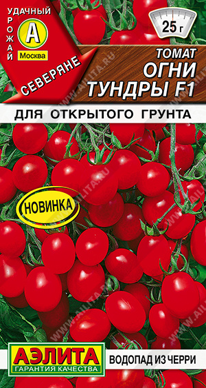 Огни Енисея