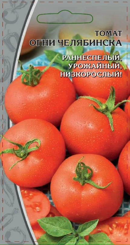 Огни Челябинска