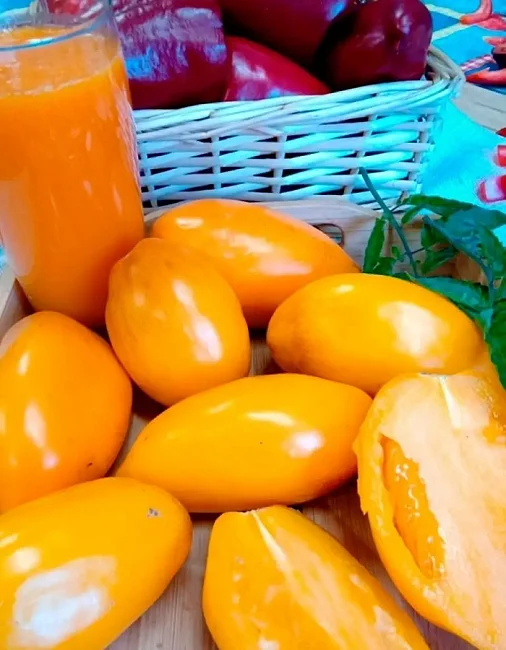 Миниатюра изображения сорта Олеся ФП