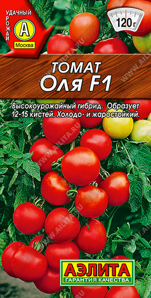 Огни тундры 