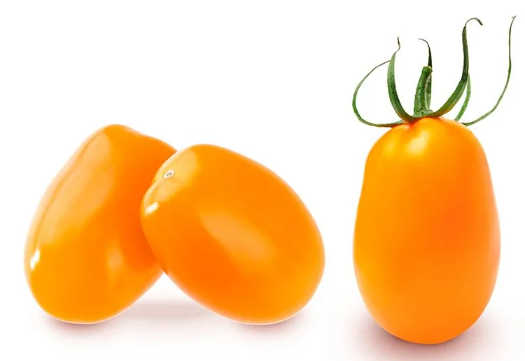 Миниатюра изображения сорта Оранжевая слива