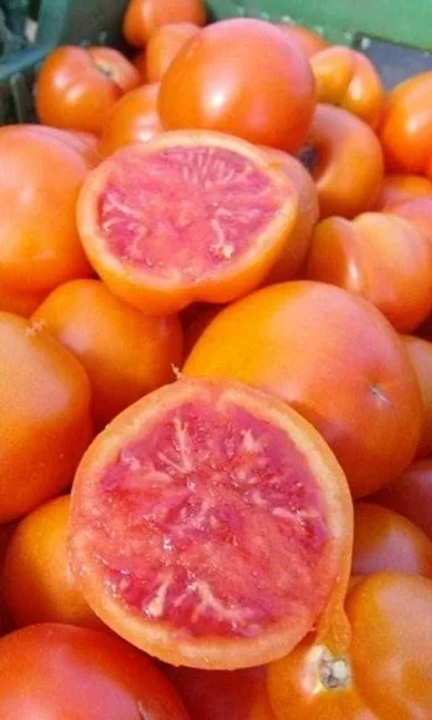 Оранжевый Закат