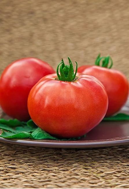 Миниатюра изображения сорта Падишах