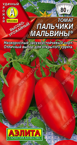 Оранжевая слива