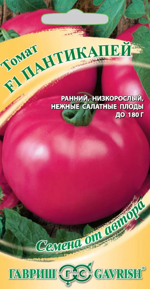 Пантикапей 