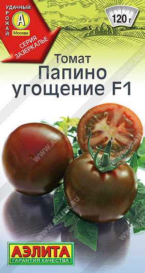 Папина проказница