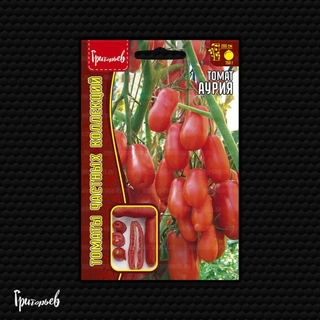 Аурия (Адам)