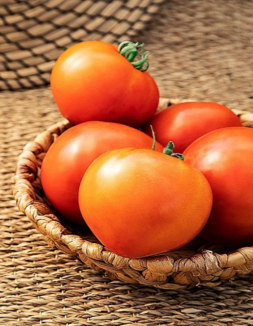 Миниатюра изображения сорта Примадонна 