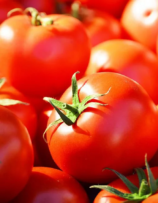 Профессионал