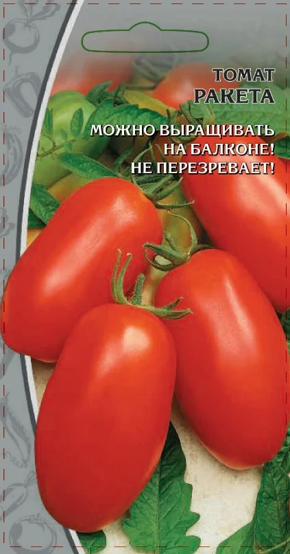 Миниатюра изображения сорта Ракета