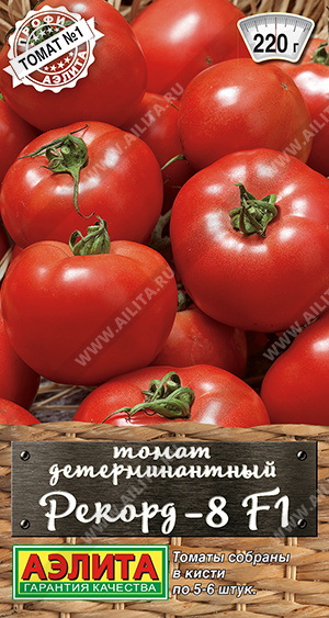 Рекорд-8 