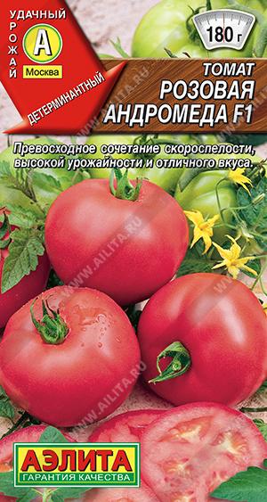 Розовая андромеда 