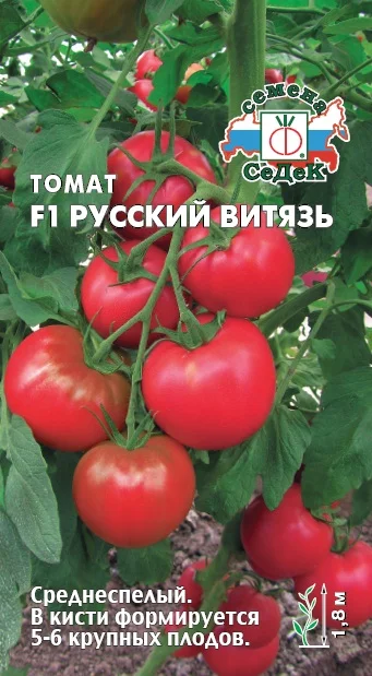 Русский Витязь