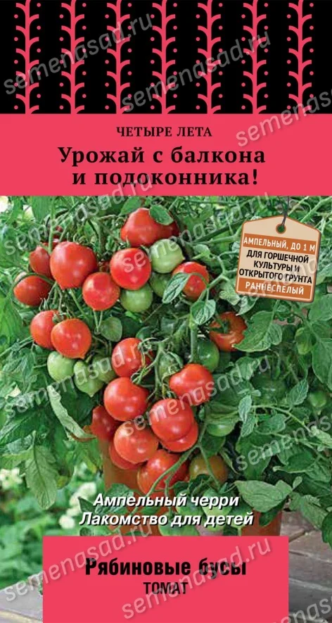 Рябиновые Бусы