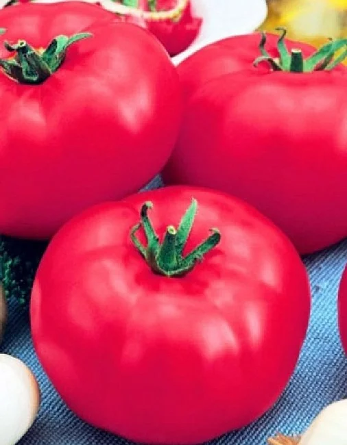 Бакинские 622