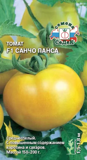 Санчо Панса