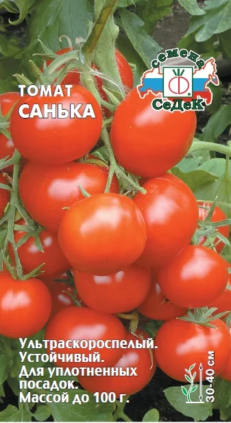 Миниатюра изображения сорта Санька