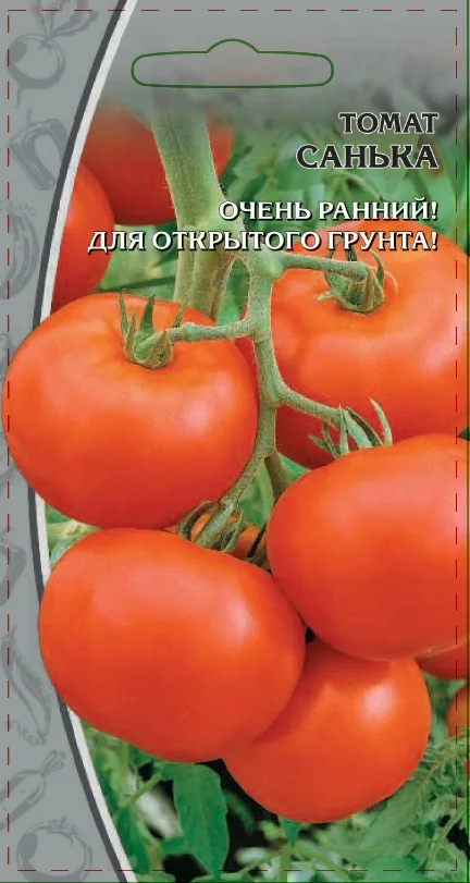 Миниатюра изображения сорта Санька