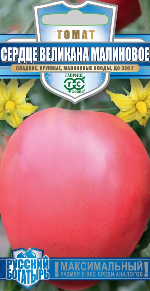 Сердце великана Малиновое 