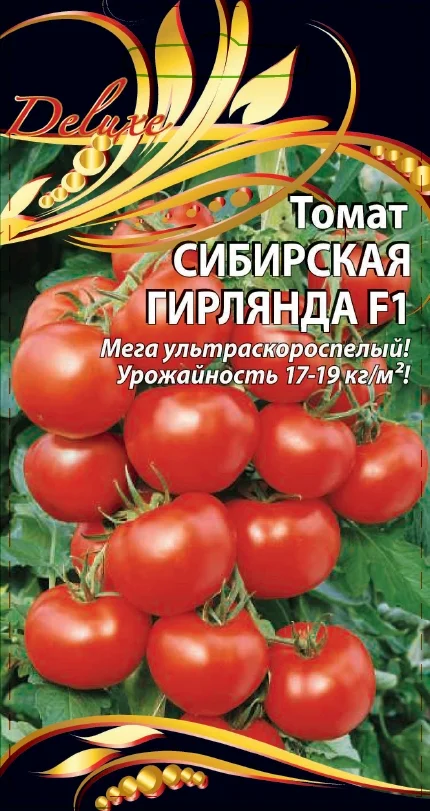 Сибирская гирлянда 